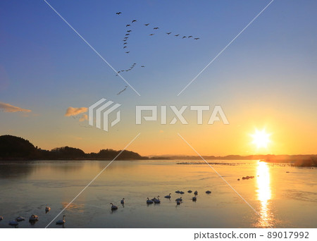 泉沼的早晨航班 89017992