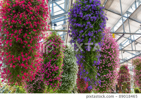 長野村海棠花園 89018465