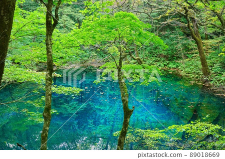 青森縣白神山脈沸騰池 89018669