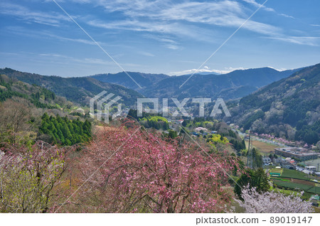 View of Yadoriki << Matsuda Town >> View of Yadoriki << Matsuda Town >> 89019147