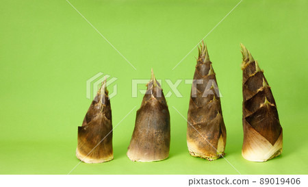 Bamboo shoots lined up on the green background 89019406