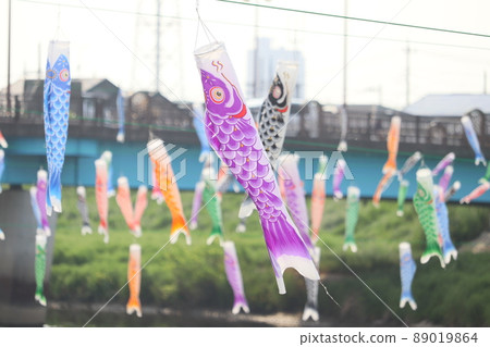 Carp streamer 89019864