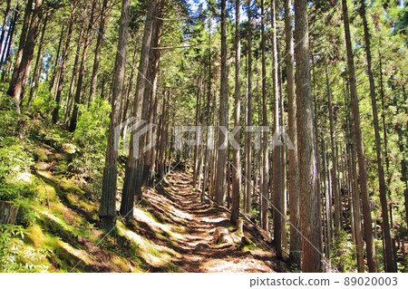 Mountain road with natural light Mountain road with natural light 89020003