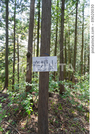 佐垣山頂（青梅山徒步路線） 89020030