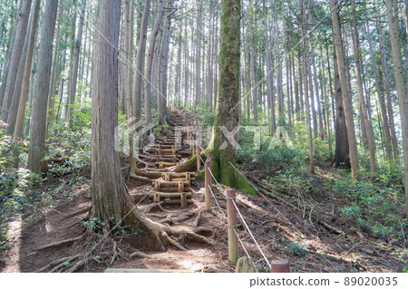 Mountain trail to Mt. Raiden (Ome Hills Hiking Course) 89020035