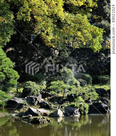 A giant turtle statue in Shinji Pond in Hibiya Park A giant turtle statue in Shinji Pond in Hibiya Park 89021024