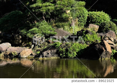 A giant turtle statue in Shinji Pond in Hibiya Park A giant turtle statue in Shinji Pond in Hibiya Park 89021025