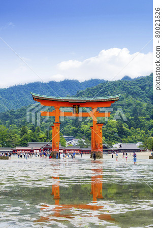 Miyajima, Hiroshima Prefecture Itsukushima Shrine Otorii in the spring tide Miyajima, Hiroshima Prefecture Itsukushima Shrine Otorii in the spring tide 89021826