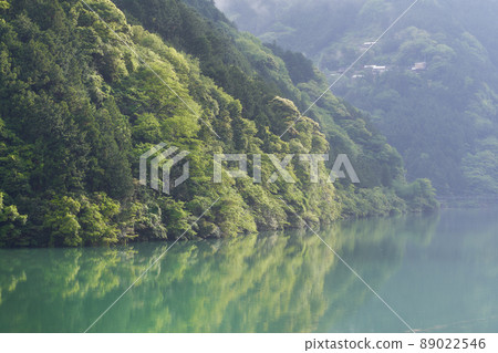 Lakeside scenery of dam lake with beautiful fresh green 89022546