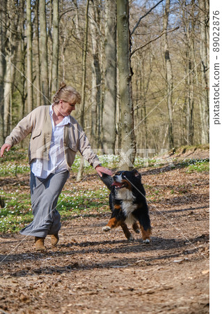 dog bites woman dog bites woman 89022876