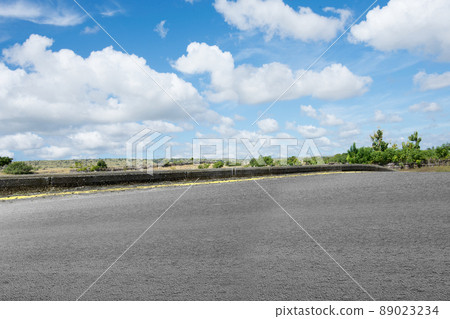 Asphalt road with grass and trees Asphalt road with grass and trees 89023234
