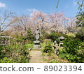 Jokeiji Temple in Spring 89023394