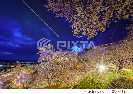 Cherry blossoms at Tsuyama castle 89023591