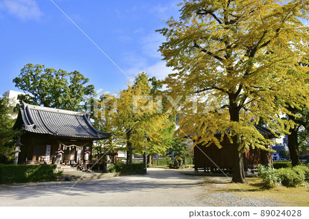 Matsuei Shrine in Oita Castle Ruins Park, Oita Prefecture Matsuei Shrine in Oita Castle Ruins Park, Oita Prefecture 89024028