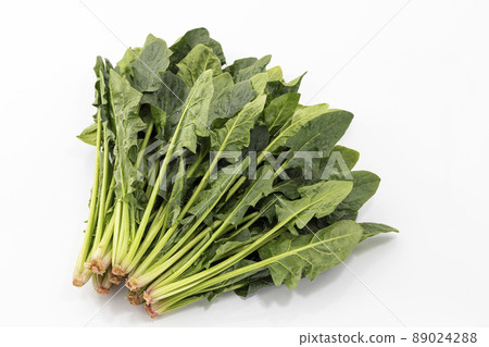 在白色背景上的菠菜 89024288
