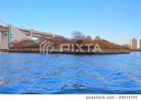 第六代禁止海鳥築巢和登陸的台場 89024705