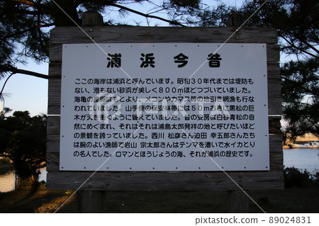 Urahama facing Nyotake-dori, Yakushima, Kagoshima Prefecture Urahama facing Nyotake-dori, Yakushima, Kagoshima Prefecture 89024831