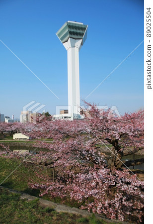 五棱郭塔(北海道函館市) 五棱郭塔(北海道函館市) 89025504