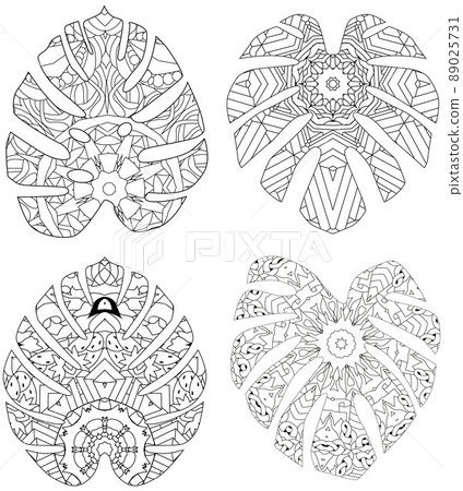 Monstera leaves. Retro zentangle stylized in vector for coloring Monstera leaves. Retro zentangle stylized in vector for coloring 89025731