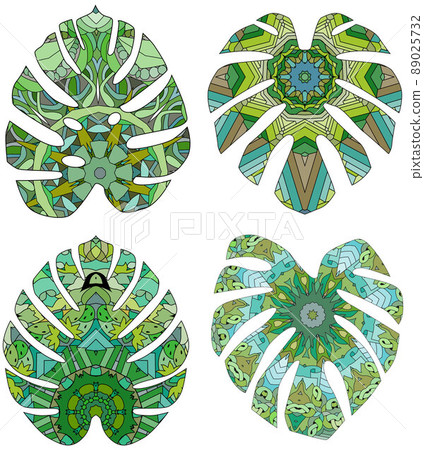 Monstera leaves. Retro zentangle stylized in vector Monstera leaves. Retro zentangle stylized in vector 89025732