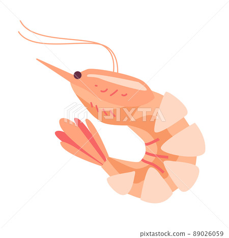 Shrimp vector illustration element isolated on white 89026059