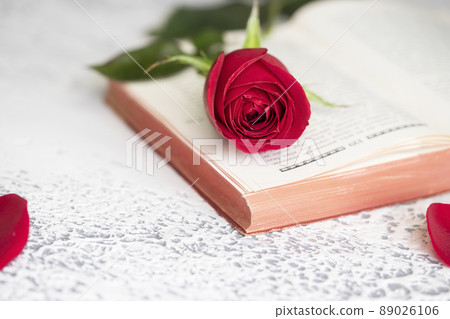 Saint George  day 89026106