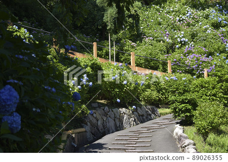 繡球花園吉峰寺 89026355