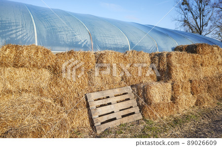 Hay bales used to insulate a pvc tunnel greenhouse. 89026609