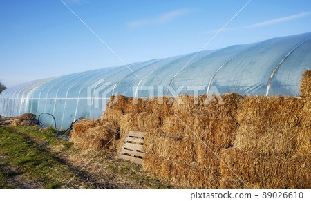 Hay bales used to insulate a pvc tunnel greenhouse. Hay bales used to insulate a pvc tunnel greenhouse. 89026610