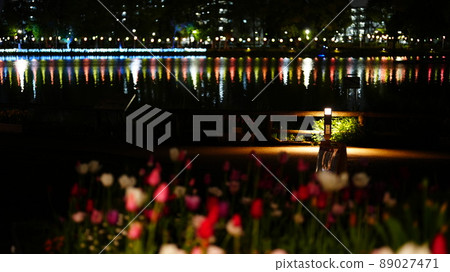 鬱金香夜景：浮間公園2022 89027471