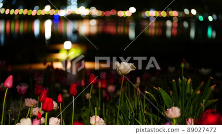 花光運動 2022 / 浮間公園 花光運動 2022 / 浮間公園 89027472