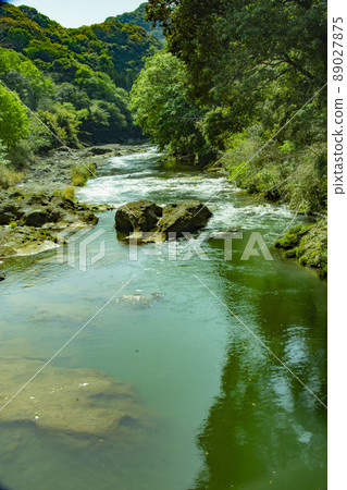 Fresh green and mountain stream Fresh green and mountain stream 89027875