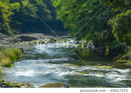 Fresh green and mountain stream Fresh green and mountain stream 89027876
