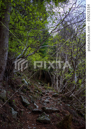 Beautiful scenery of Mt. Nagi in Okayama prefecture, Japan Beautiful scenery of Mt. Nagi in Okayama prefecture, Japan 89028384