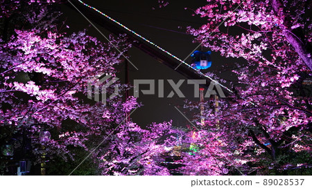 Yomiuriland Pink Ranbu 2022 Yomiuriland Pink Ranbu 2022 89028537