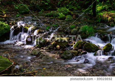 Yamabuki Springhead“100個精選的精緻和知名旅遊景點”阿蘇地區產山村 89028692