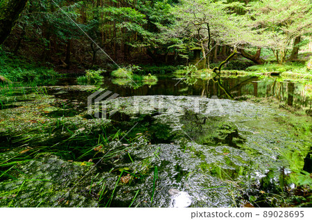 Yamabuki Springhead "100 Selected Exquisite and Well-known Tourist Attractions" Ubuyama Village, Aso District Yamabuki Springhead "100 Selected Exquisite and Well-known Tourist Attractions" Ubuyama Village, Aso District 89028695