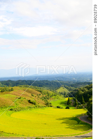 Ogi Rice Terraces (Autumn) "Connecting Rice Terraces Heritage and Tourist Attractions" Ubuyama Village, Aso District 89028739
