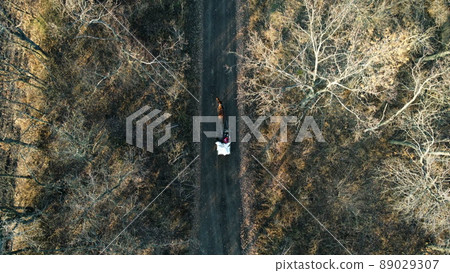 Aerial Drone View Flight Over horse-drawn cart with people and white full bags 89029307