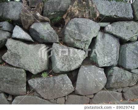 Stone wall Stone wall 89029742