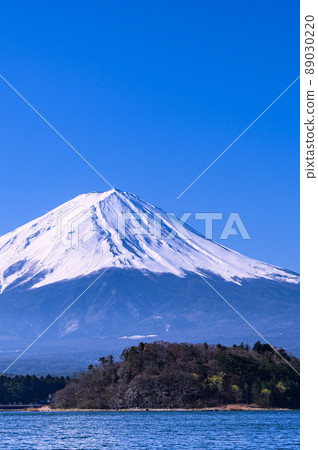 (Yamanashi Prefecture) Clear sky and snowy season Mt. Fuji / Lake Kawaguchi 89030220