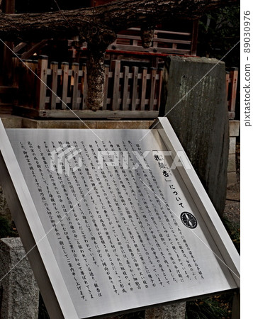 Scenery of Chichibu Shrine 89030976