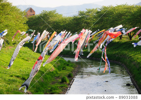 A carp streamer swimming on both banks of the river A carp streamer swimming on both banks of the river 89031088