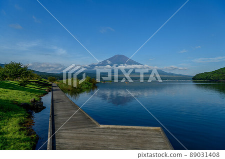 Fuji in summer from Lake Yamanaka 89031408