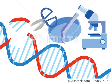 Image of genetic research 89031426