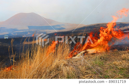阿甦的田野燃燒 89031719