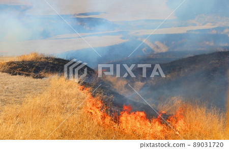 阿甦的田野燃燒 89031720