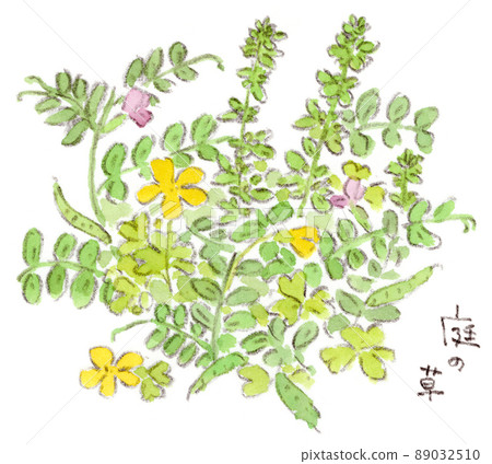 Flowers in the spring garden: watercolor illustrations of common vetch, oxalis, etc. 89032510