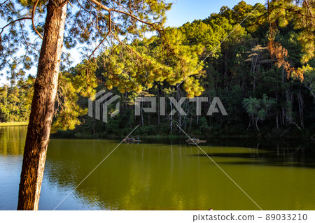 Pang Oung national park, lake and forest of pine trees in Mae Hong Son, Thailand Pang Oung national park, lake and forest of pine trees in Mae Hong Son, Thailand 89033210