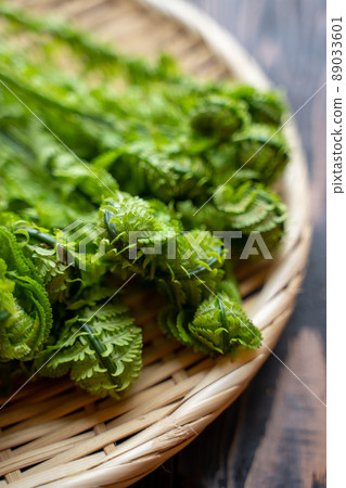 Natural garbage Natural garbage 89033601